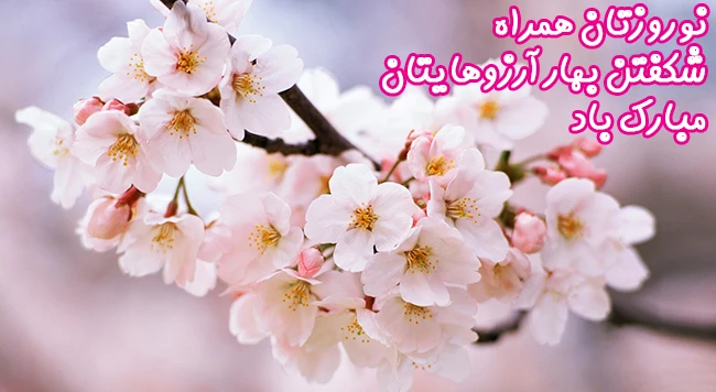 سخنـی کوتاه