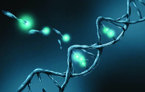 آسیب DNA، سبب بروز سرطان