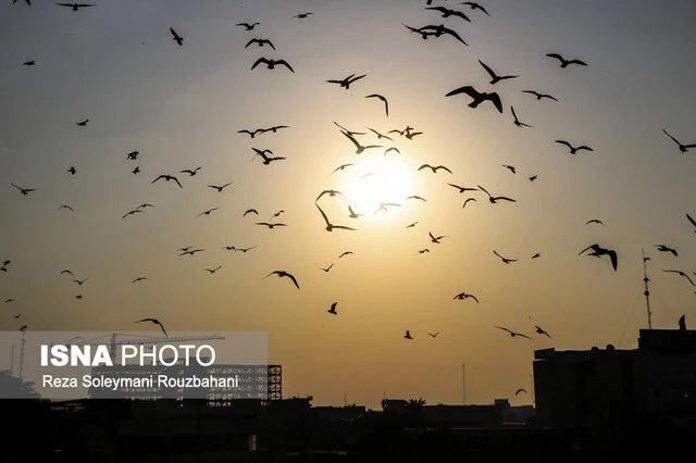 آسمان تهران غبار آلود می‌شود
