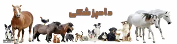 دامپزشکی